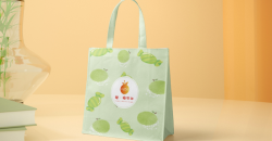 Les sacs à provisions de luxe sont-ils mieux que les sacs à provisions ordinaires? 