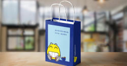 Quelles sont les exigences des entreprises en matière de sacs-cadeaux personnalisés?
