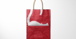Boîtier d'impression de conception d'entreprise personnalisée de sac en papier kraft