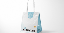Boîtier d'impression de conception du fabricant de grands sacs cadeaux 