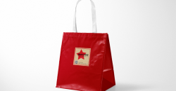 Sacs cadeaux en papier Design et impression Caractéristiques du produit