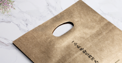 L'échelle de production et le flux de processus de l'usine de sacs à main sont combinés à deux volets, ce qui le rend plus efficace et de meilleure qualité