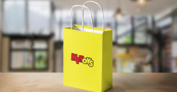 Développement diversifié des sacs à tote de shopping: combinant praticité, protection de l'environnement et beauté