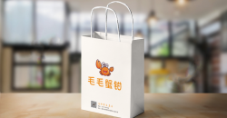 Publicité imprimée sur les sacs de shopping: une nouvelle façon de commercialiser les marques