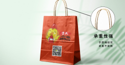 Modèle de sac à emporter