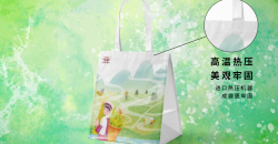 Sac cadeau décoratif 