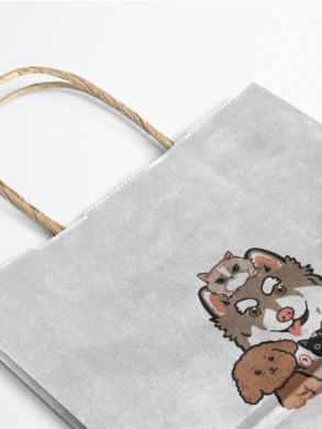Cas de conception, d'impression et de traitement du fabricant de sacs en papier kraft