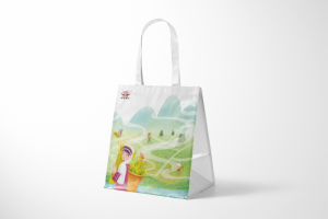 Cas de conception et de production d'entreprise d'impression de sacs cadeaux