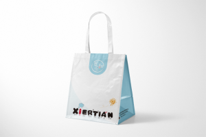 Boîtier d'impression de conception du fabricant de grands sacs cadeaux 
