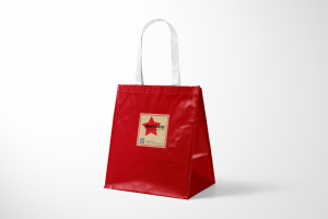 Sacs cadeaux en papier Design et impression Caractéristiques du produit